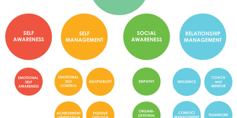 Emotional and Social Intelligence Leadership Competencies: An Overview